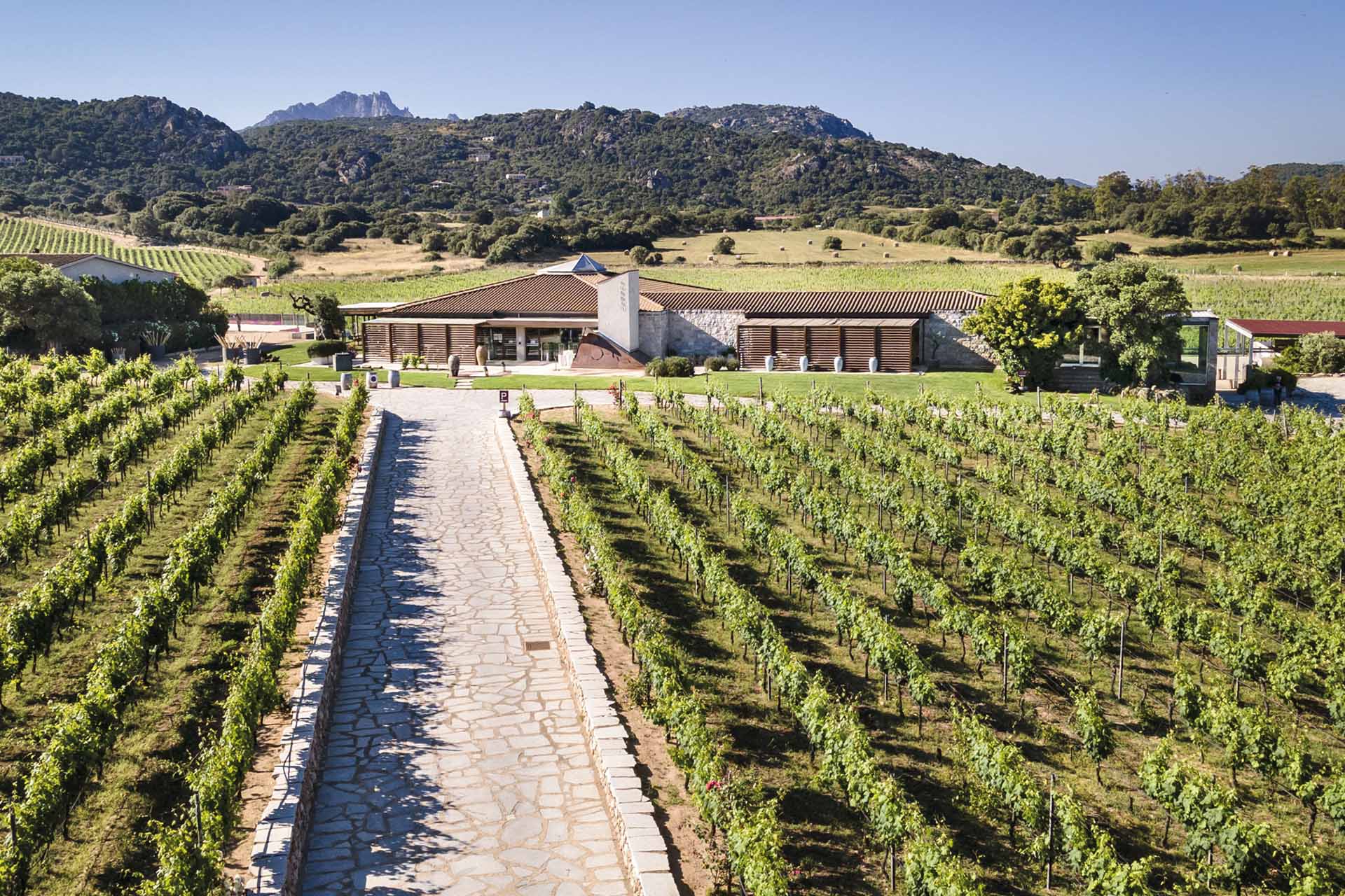 IGY Marinas Sarau Vineyards Tour